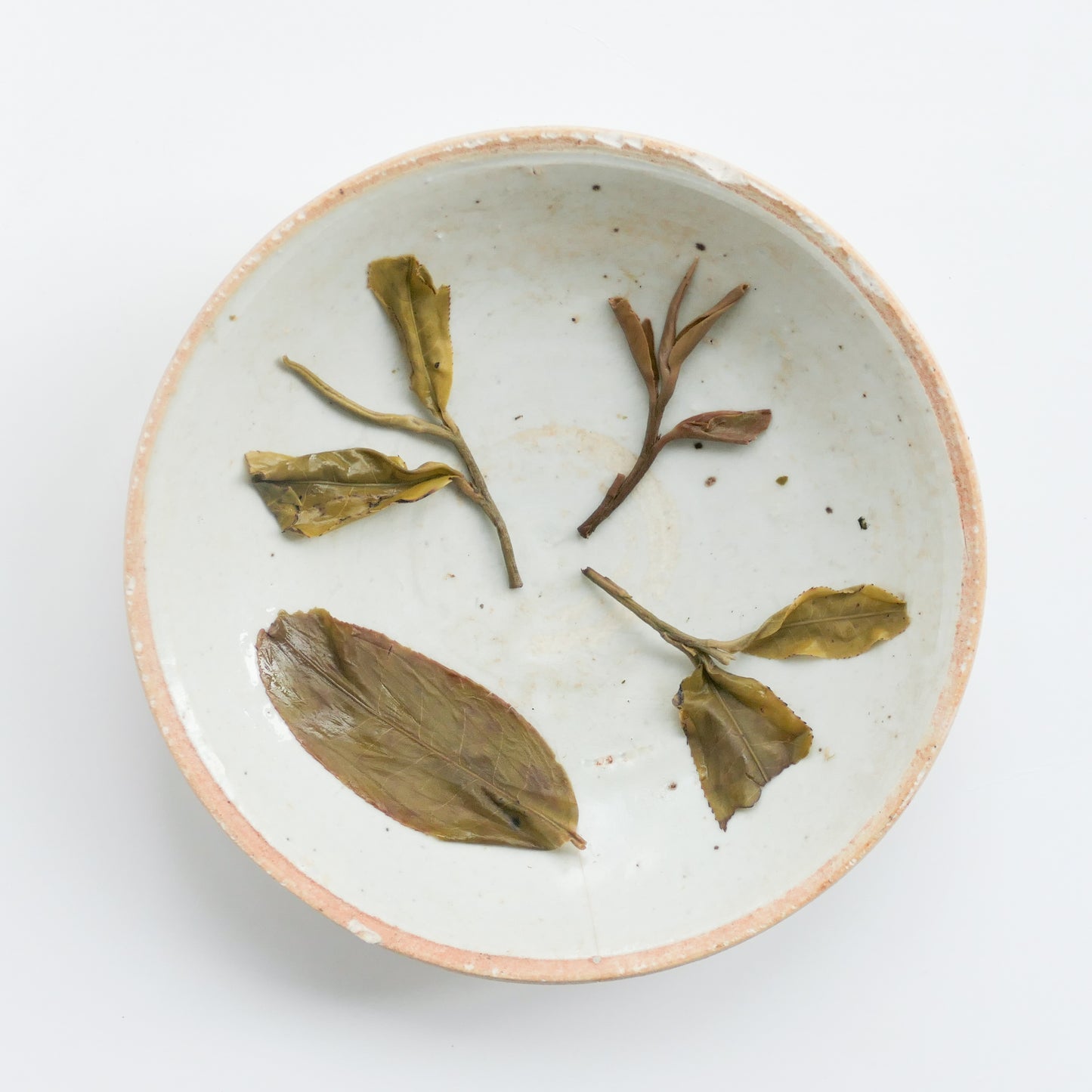 2023 Spring ChaWangShu Ancient Tree Puerh 茶王树