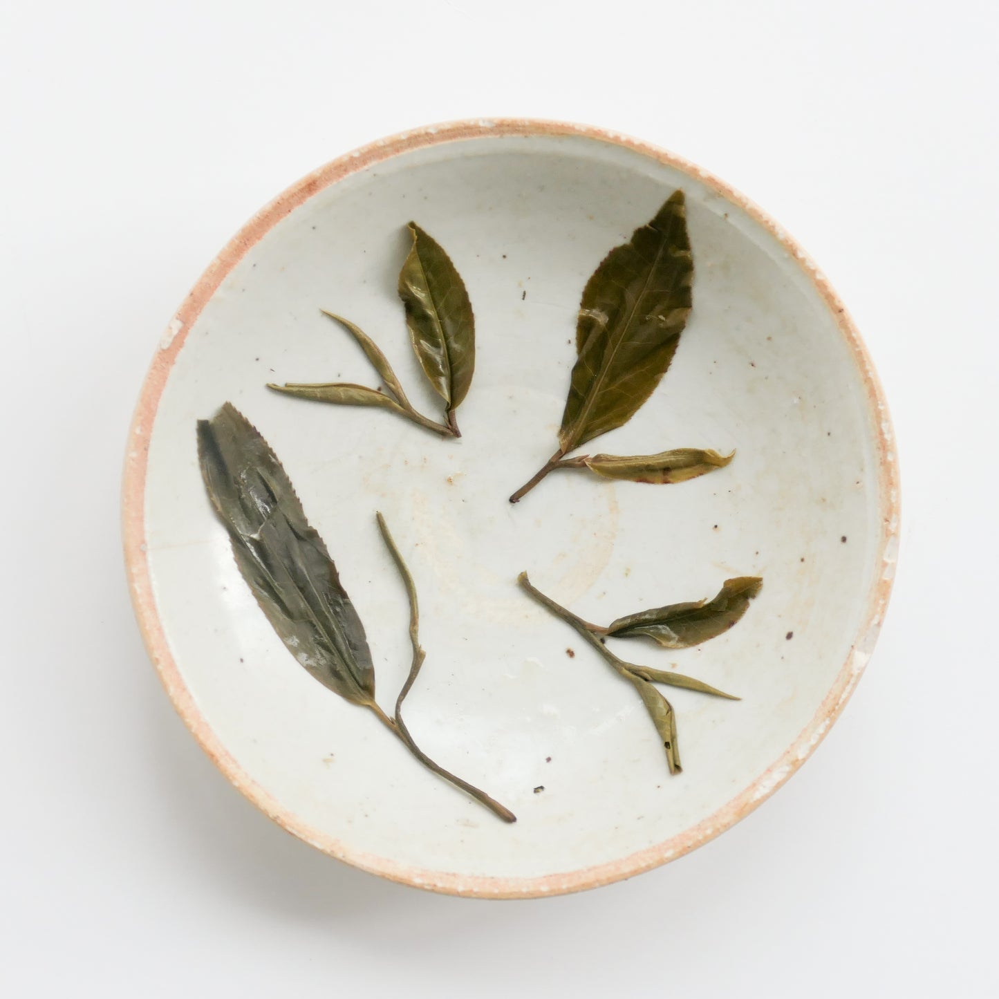 2023 Spring Lao Jie Zi Gao Gan Puerh 老街子