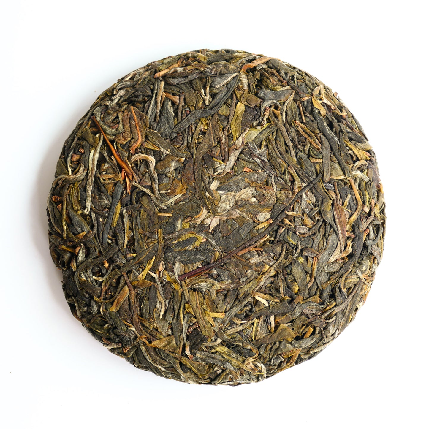2025 Bamboo Spring Raw Puerh