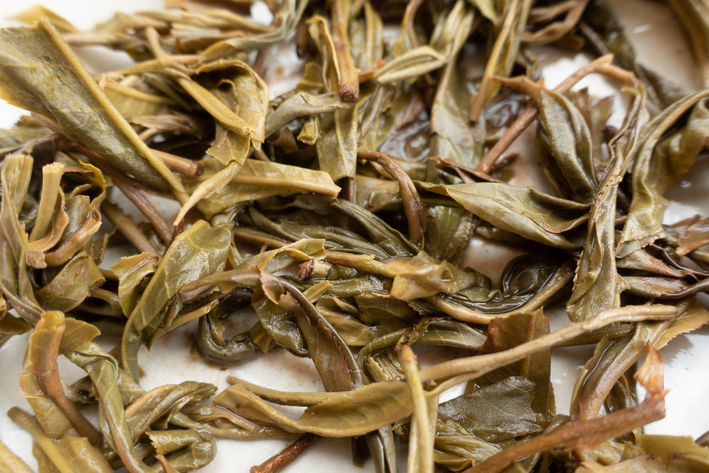 2018 Spring Gedeng Guoyoulin Puerh Tea