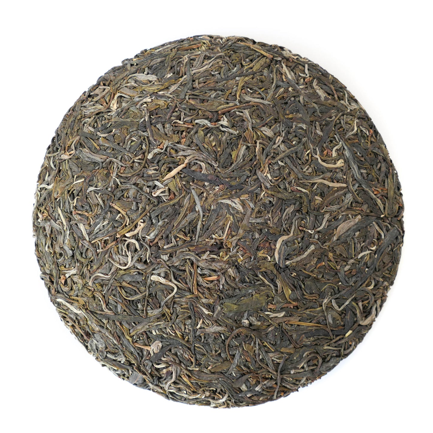 2019 Spring "Singularity" Gushu Puerh Tea