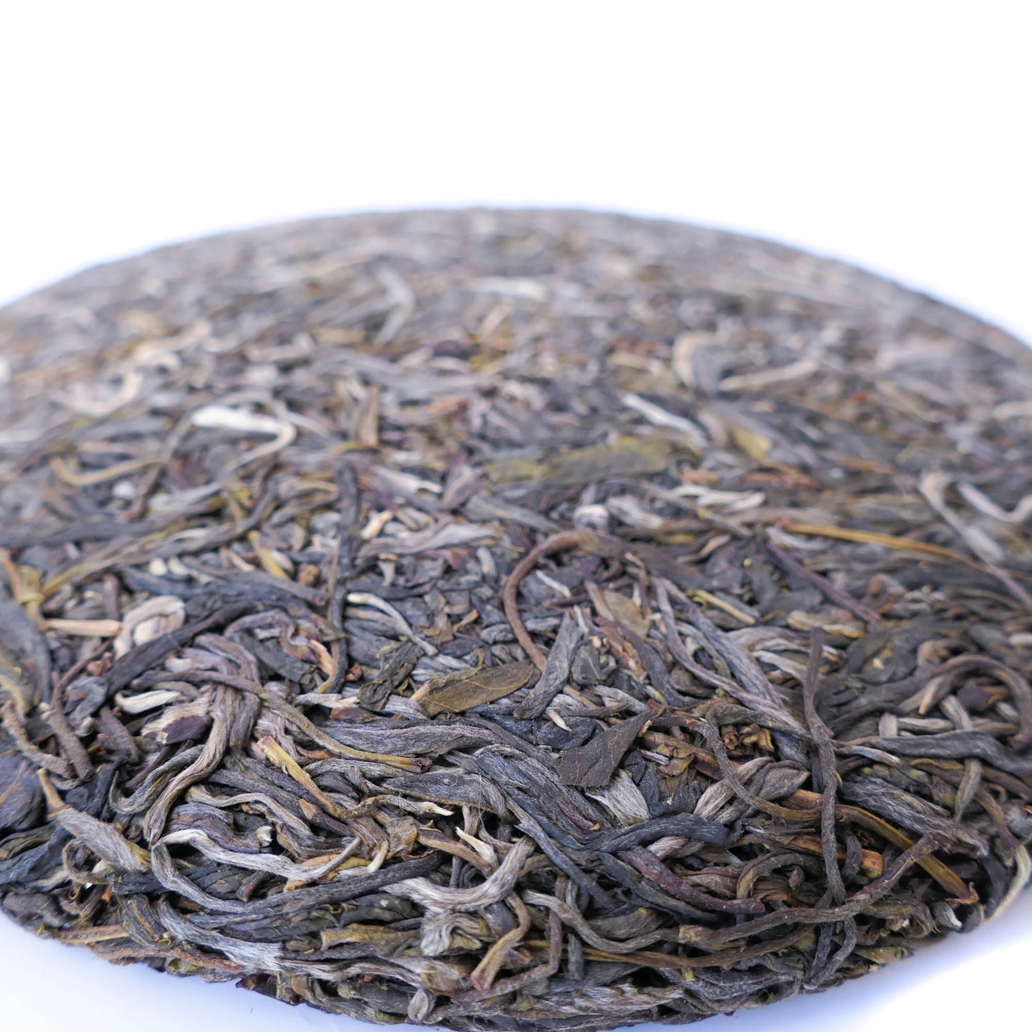 2019 Spring "Singularity" Gushu Puerh Tea