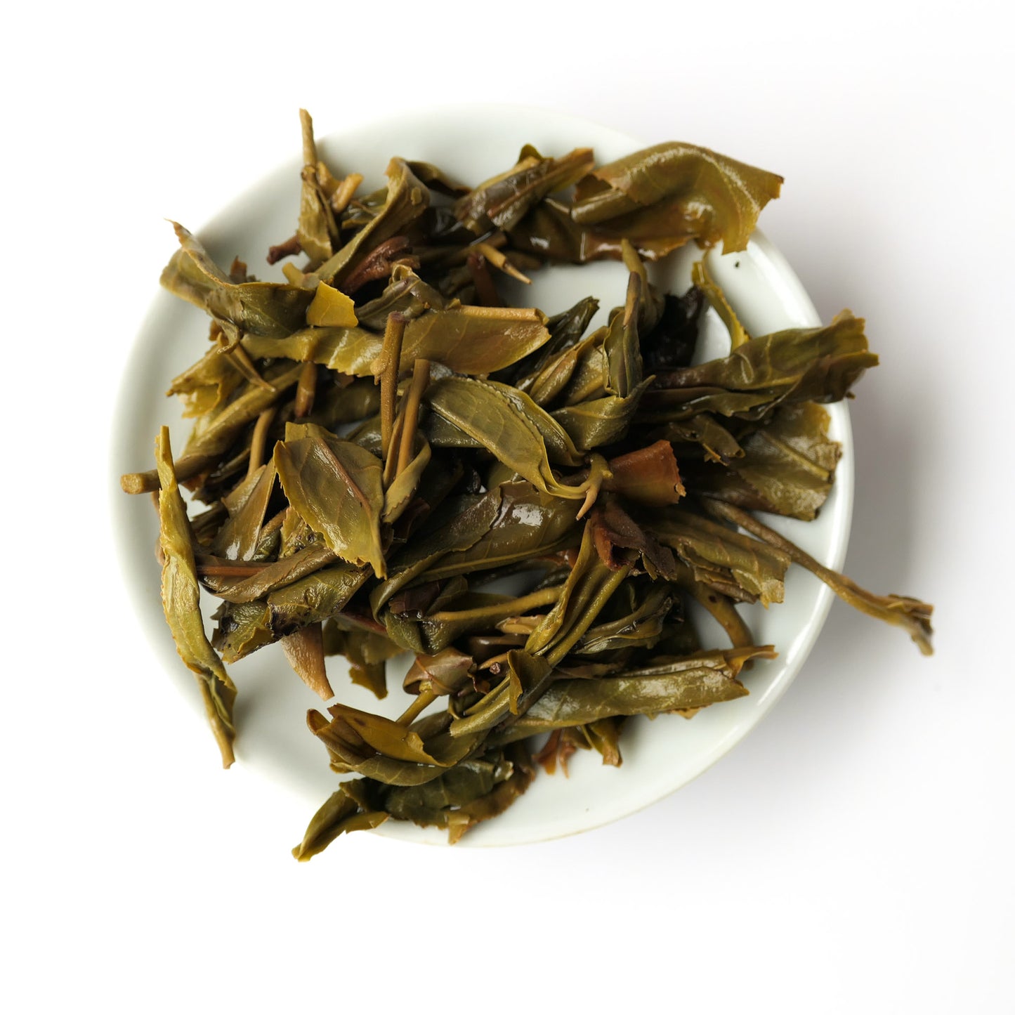 2019 Yao Zhu Di