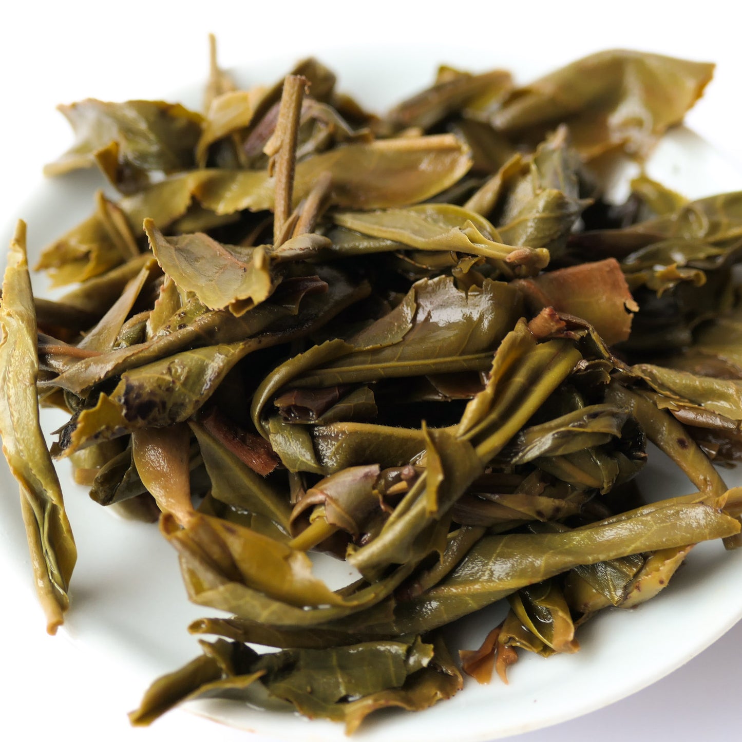 2019 Yao Zhu Di