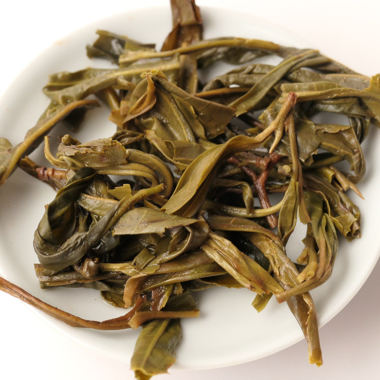 2020 Yao Zhu Di