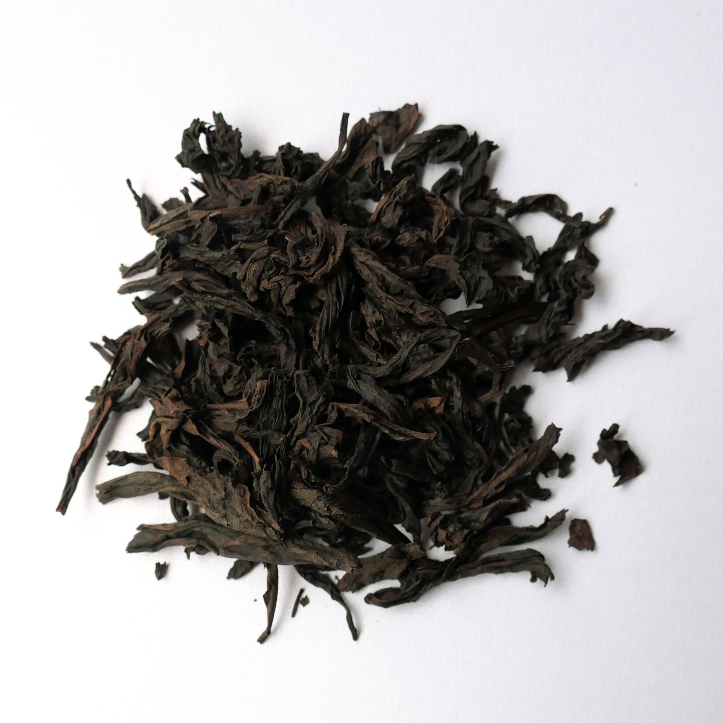 2019 Hui Chun ~ Cong Xian