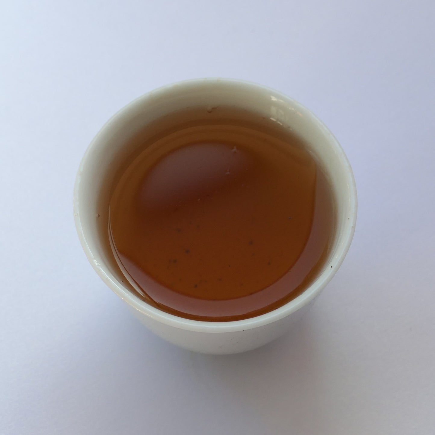 2004 CNNP 7542