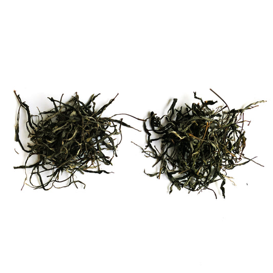 2021 Ancient Tree vs Small Tree Tasting Set