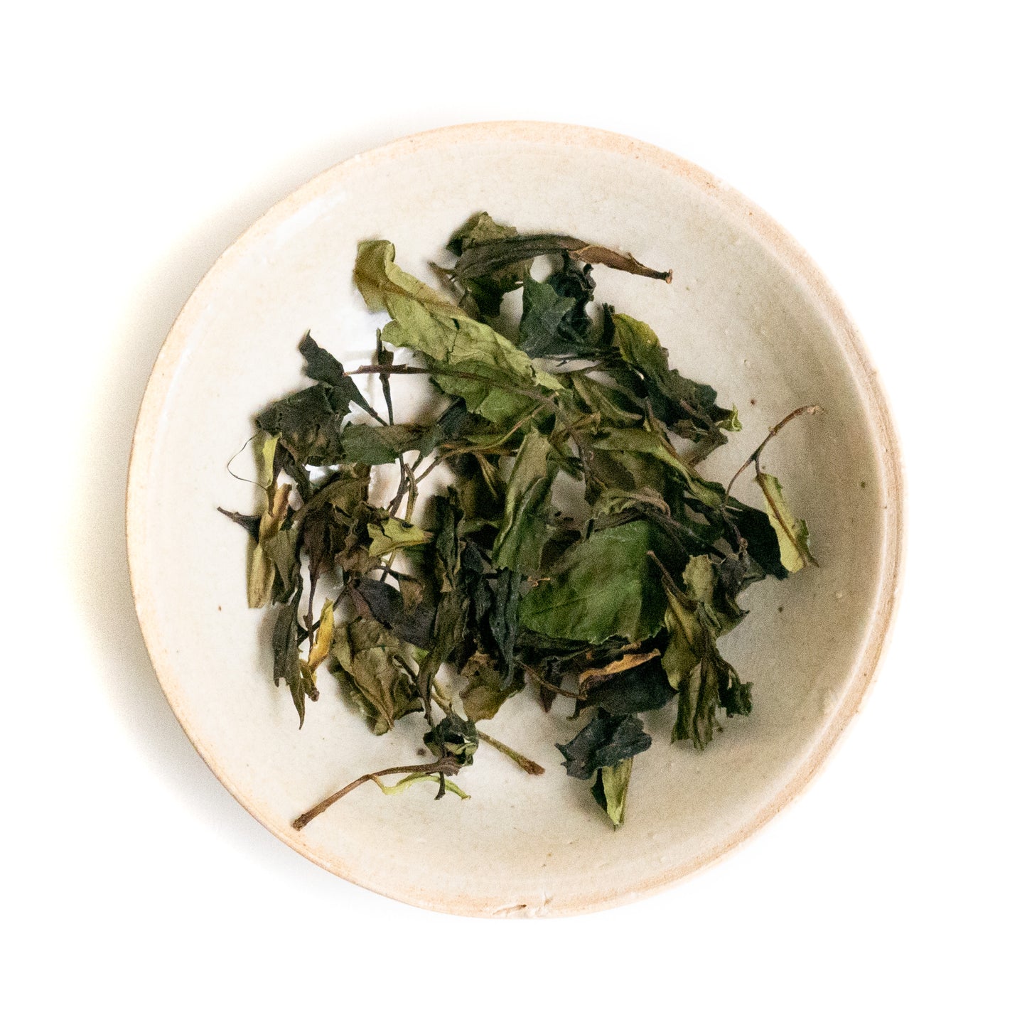 2024 Secret Forest Wild White (Special Grade)