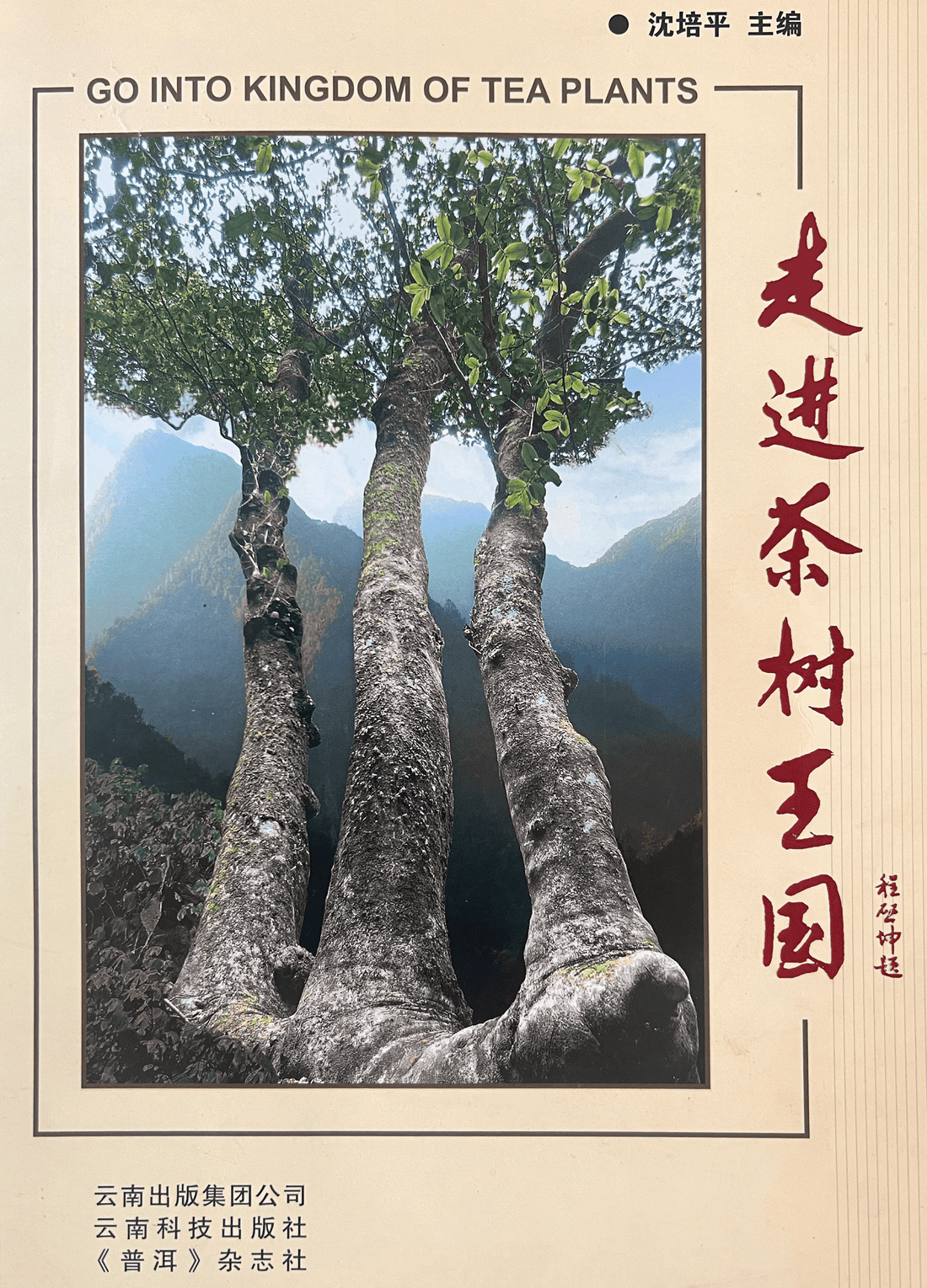 What is Wild Tea?  Systems of Tea Plant Classification