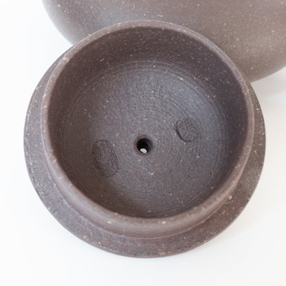 100ml Ma Yong Qiang Aged Zini XuBian Yixing Teapot