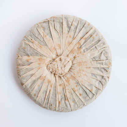 2007 Wangong Gushu