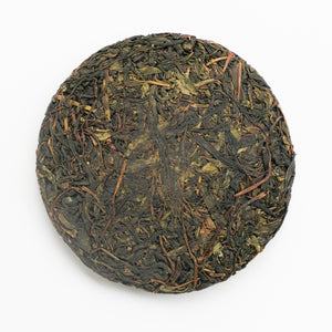 2023 Spring Secret Forest Wild Puerh 原野普洱