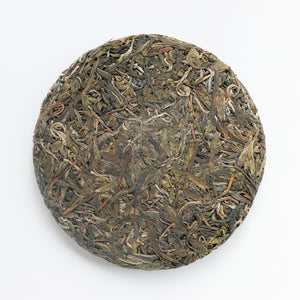 2023 Spring ChaWangShu Ancient Tree Puerh 茶王树