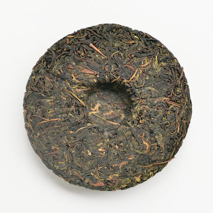 2023 Spring Secret Forest Wild Puerh 原野普洱