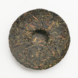 2023 Spring Secret Forest Wild Puerh 原野普洱