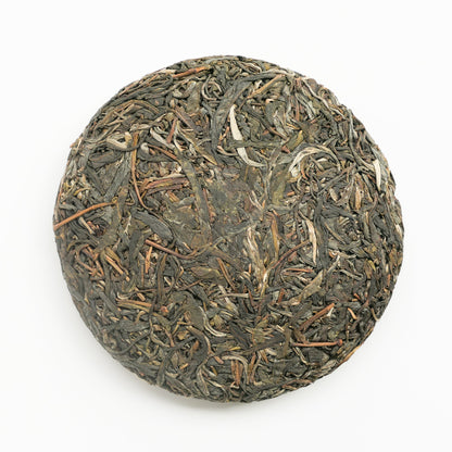 2023 Spring Tang Li Lin Ancient Tree Puerh 棠梨林