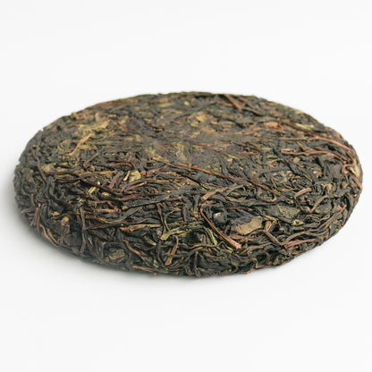 2023 Spring Secret Forest Wild Puerh 原野普洱