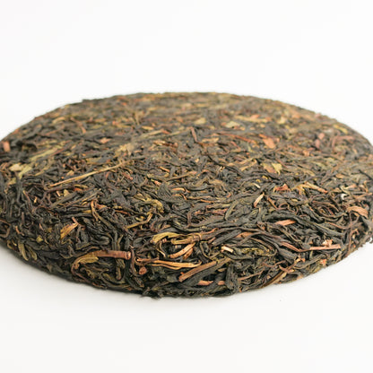 2023 Spring Wuliang Wild Puerh 无量野生