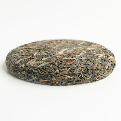 2023 Spring Tang Li Lin Ancient Tree Puerh 棠梨林