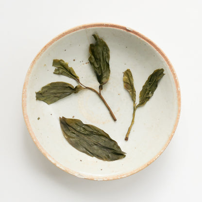 2023 Spring Secret Forest Wild Puerh 原野普洱