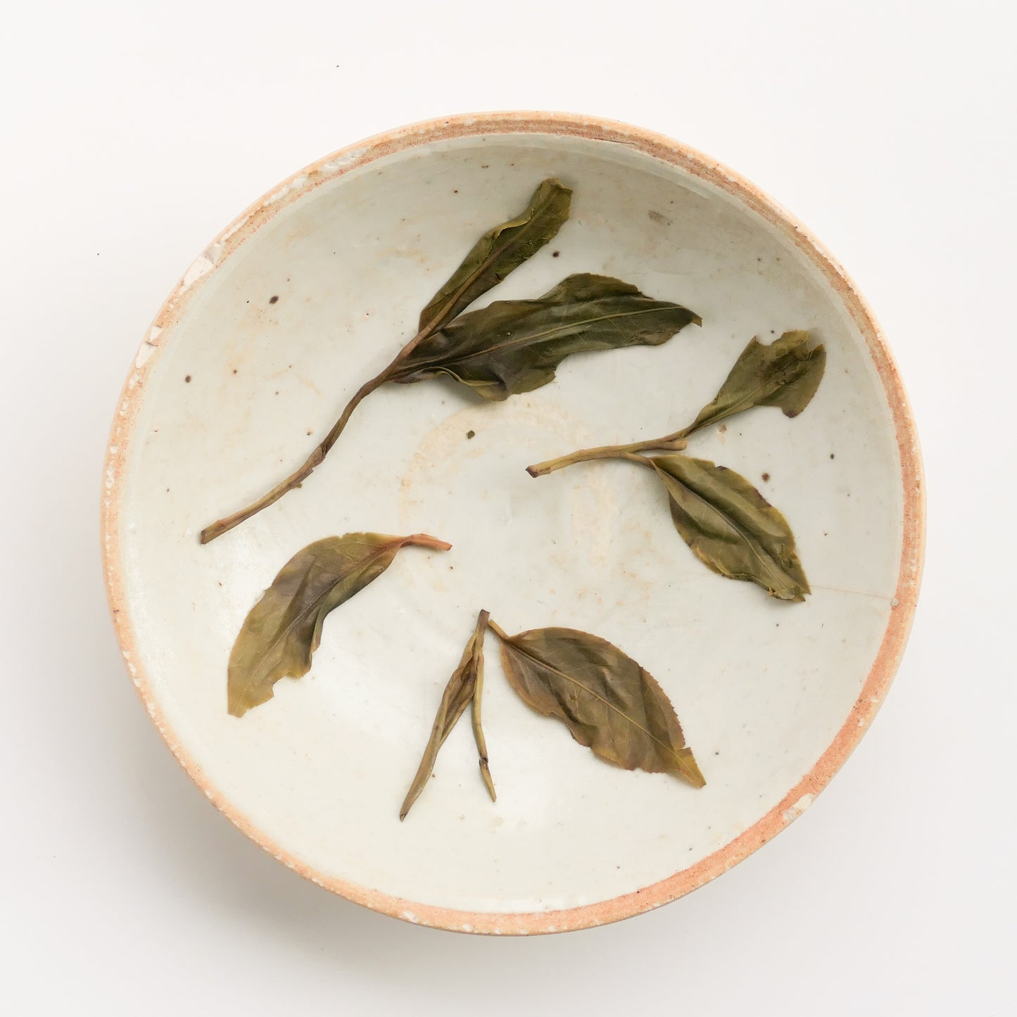 2023 Spring Wuliang Wild Puerh 无量野生