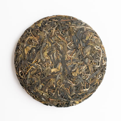 2024 Spring Wuliang Selected Trees Puerh 无量古树