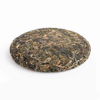 2024 Spring Wuliang Selected Trees Puerh 无量古树