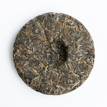 2024 Spring Wangong - Ma An Shan Ancient Tree Puerh 马鞍山