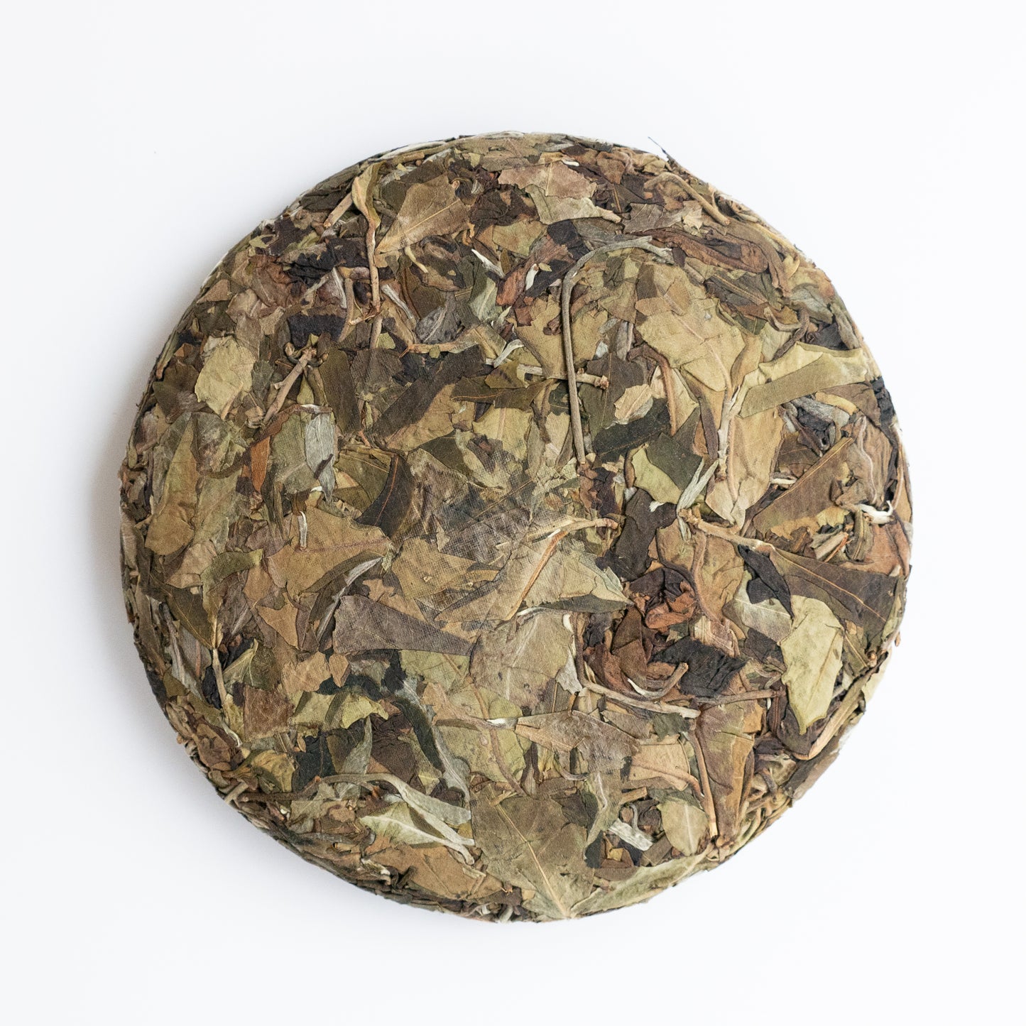 2024 Spring Yiwu Guoyoulin Ancient Tree White Tea