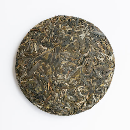 2024 Spring Manlin Selected Ancient Tree Puerh