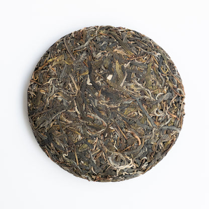 2024 Spring Wangong - Ma An Shan Ancient Tree Puerh 马鞍山