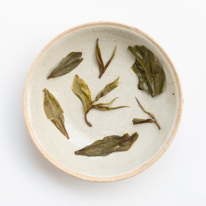 2024 Spring Kunlu Ancient Tree Wild Puerh 困鹿野生