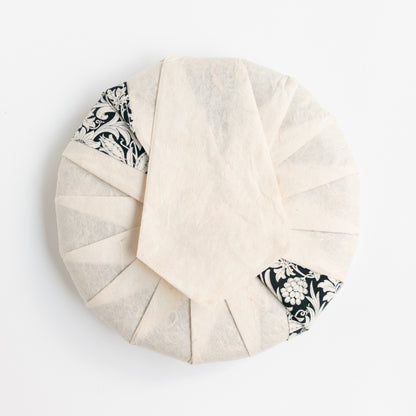 2026 Yiwu Guoyoulin Ancient Tree White Tea