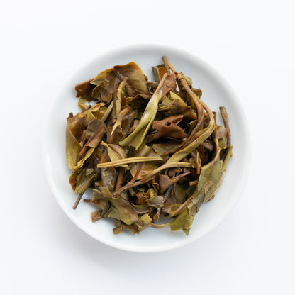 2026 Yiwu Guoyoulin Ancient Tree White Tea