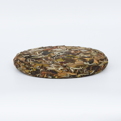 2026 Beyond the Clouds White Tea