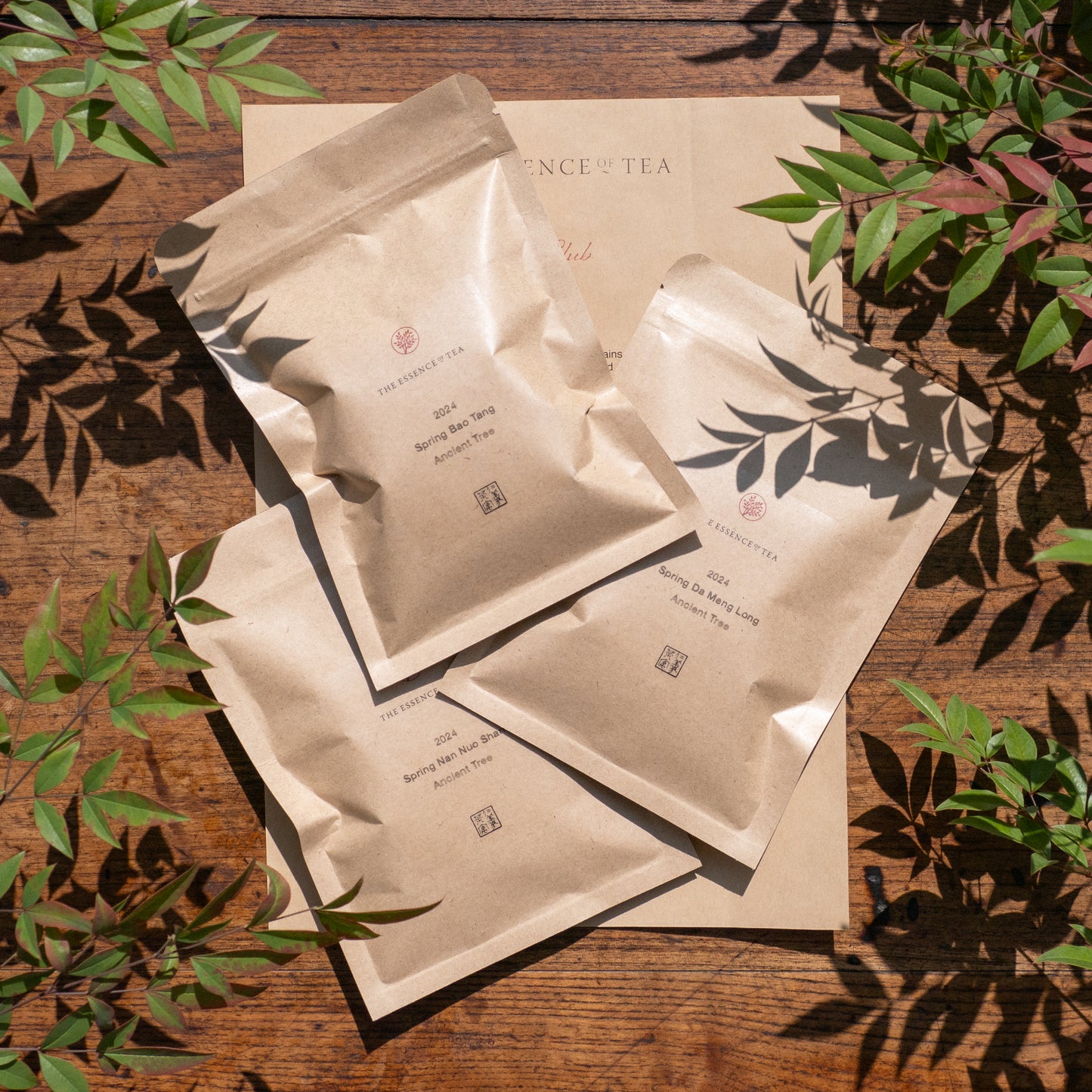 2024/05 May Teaclub Parcel - Puerh Maocha tasting set