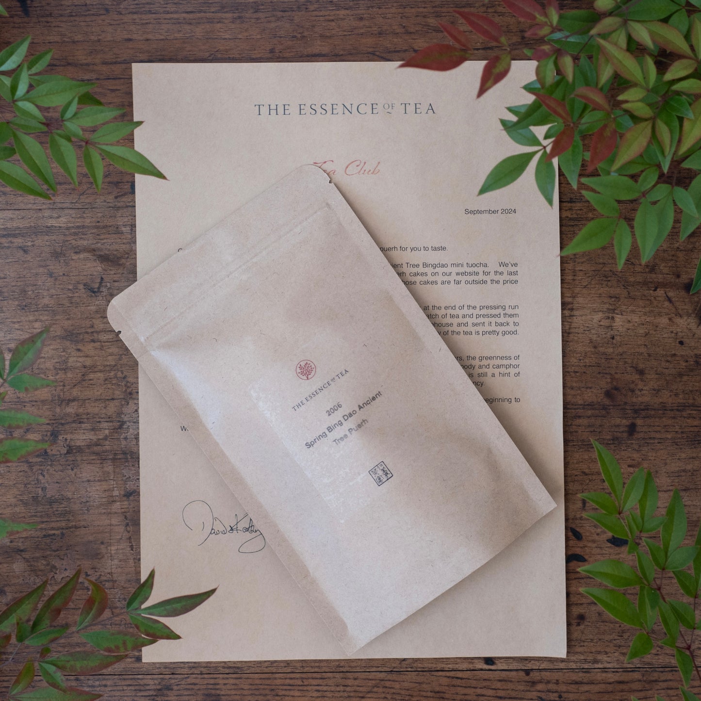 2024/09 September Teaclub Parcel - Bingdao Tuocha