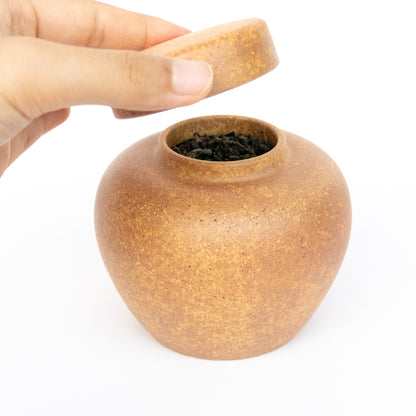 450ml Duanni Wood fired Tea Jar
