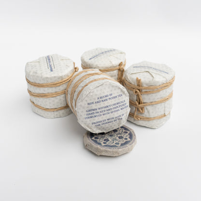 2024 Breakfast for Meditators