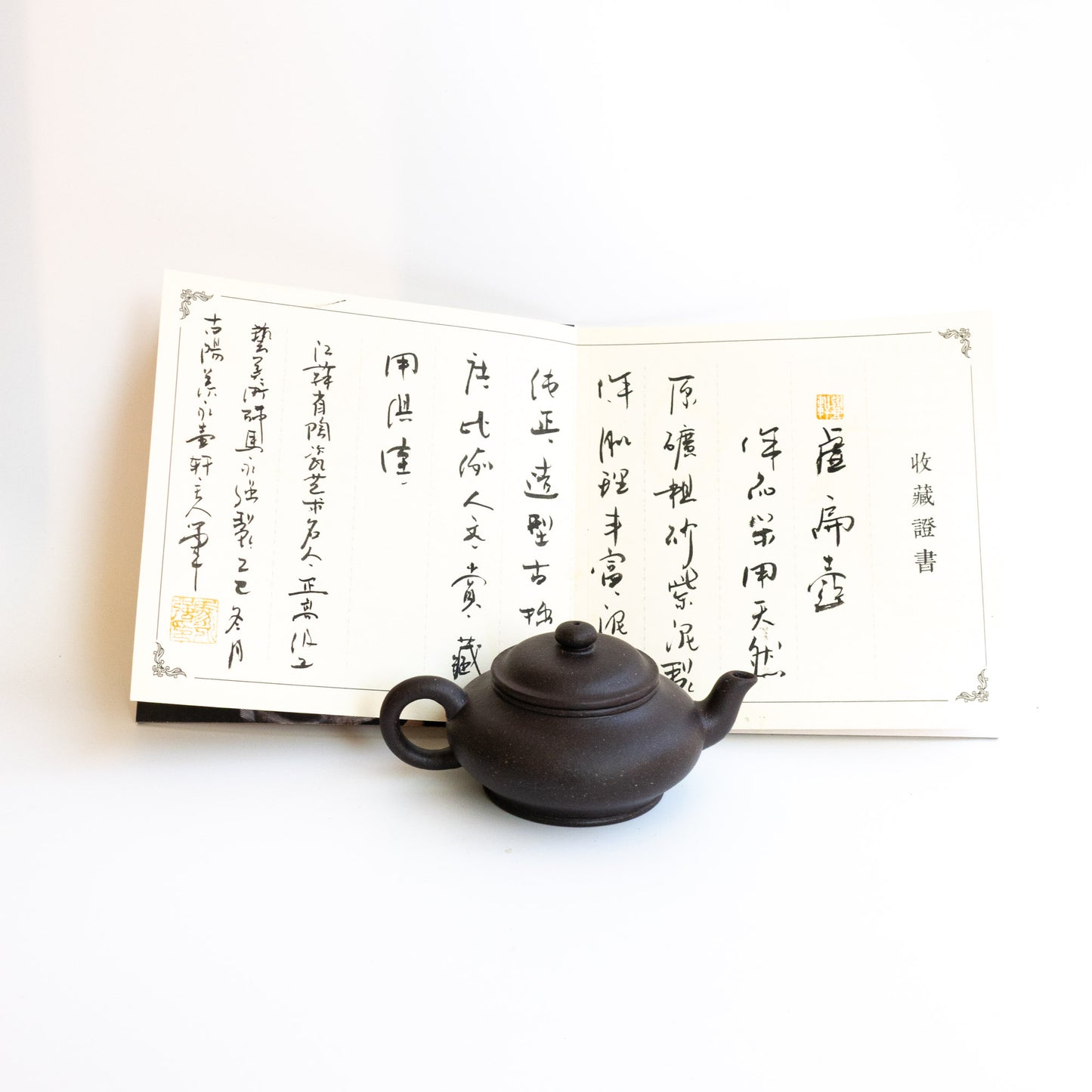 100ml Ma Yong Qiang Aged Zini XuBian Yixing Teapot