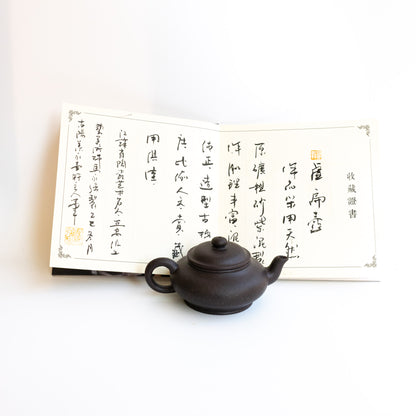 100ml Ma Yong Qiang Aged Zini XuBian Yixing Teapot