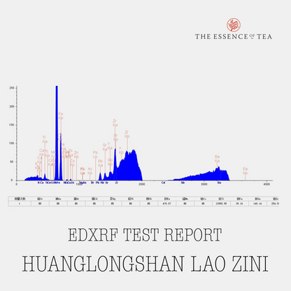 100ml Handmade Lao Zini JuLunZhu Yixing Teapot