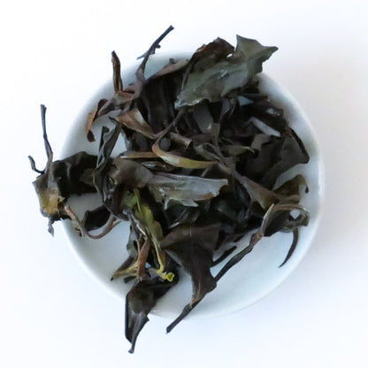 2019 Yiwu Guoyoulin White Tea