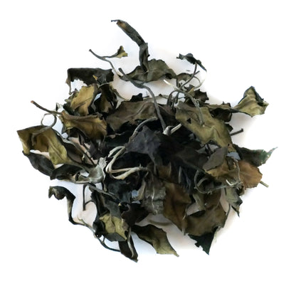 2019 Yiwu Guoyoulin White Tea