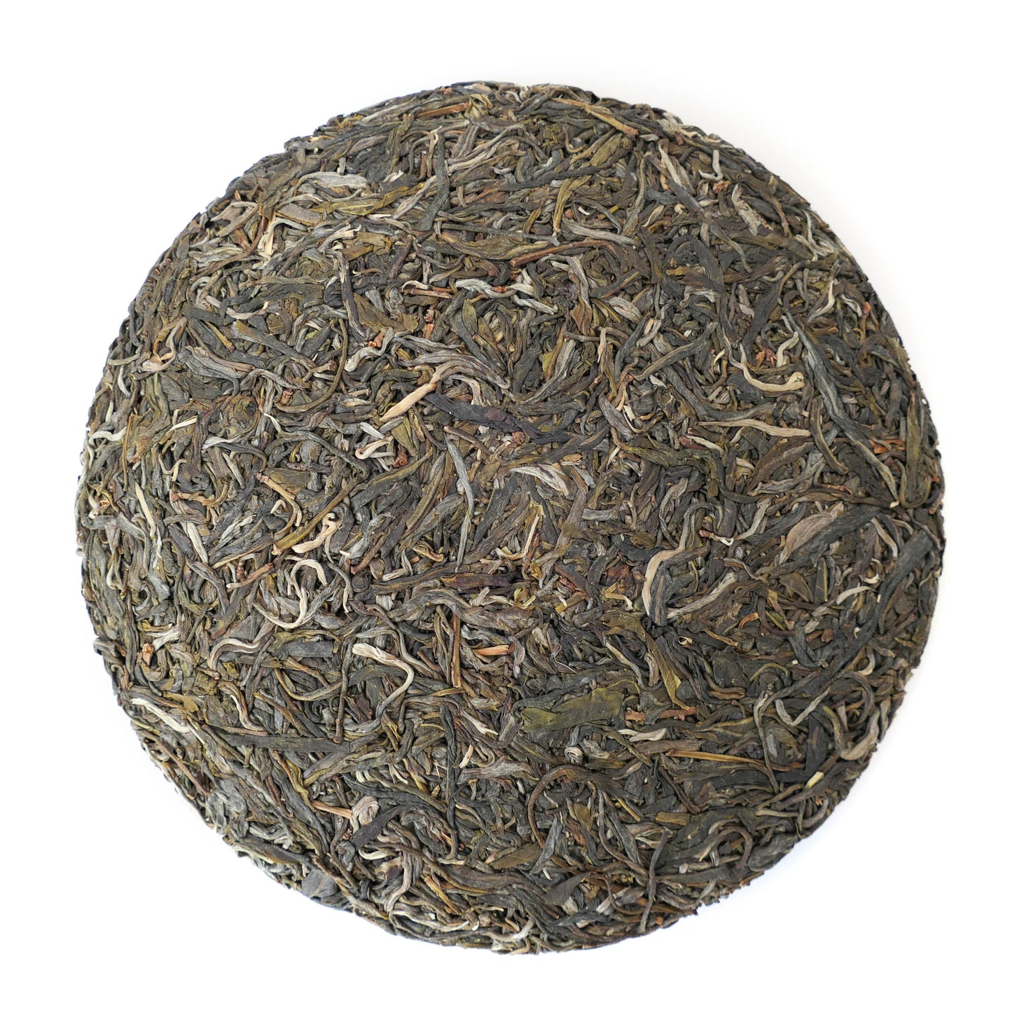 2019 Spring "Singularity"  Gushu Puerh Tea