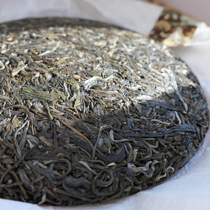 2019 Spring "Singularity"  Gushu Puerh Tea