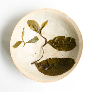 2022 Spring Rocket Mountain Single Tree Puerh 火箭山单株