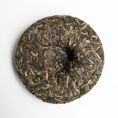 2022 Spring Bulang Ancient Tree Puerh 布朗之秘