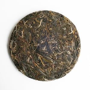 2022 Spring ChaWangShu Ancient Tree Puerh 茶王树